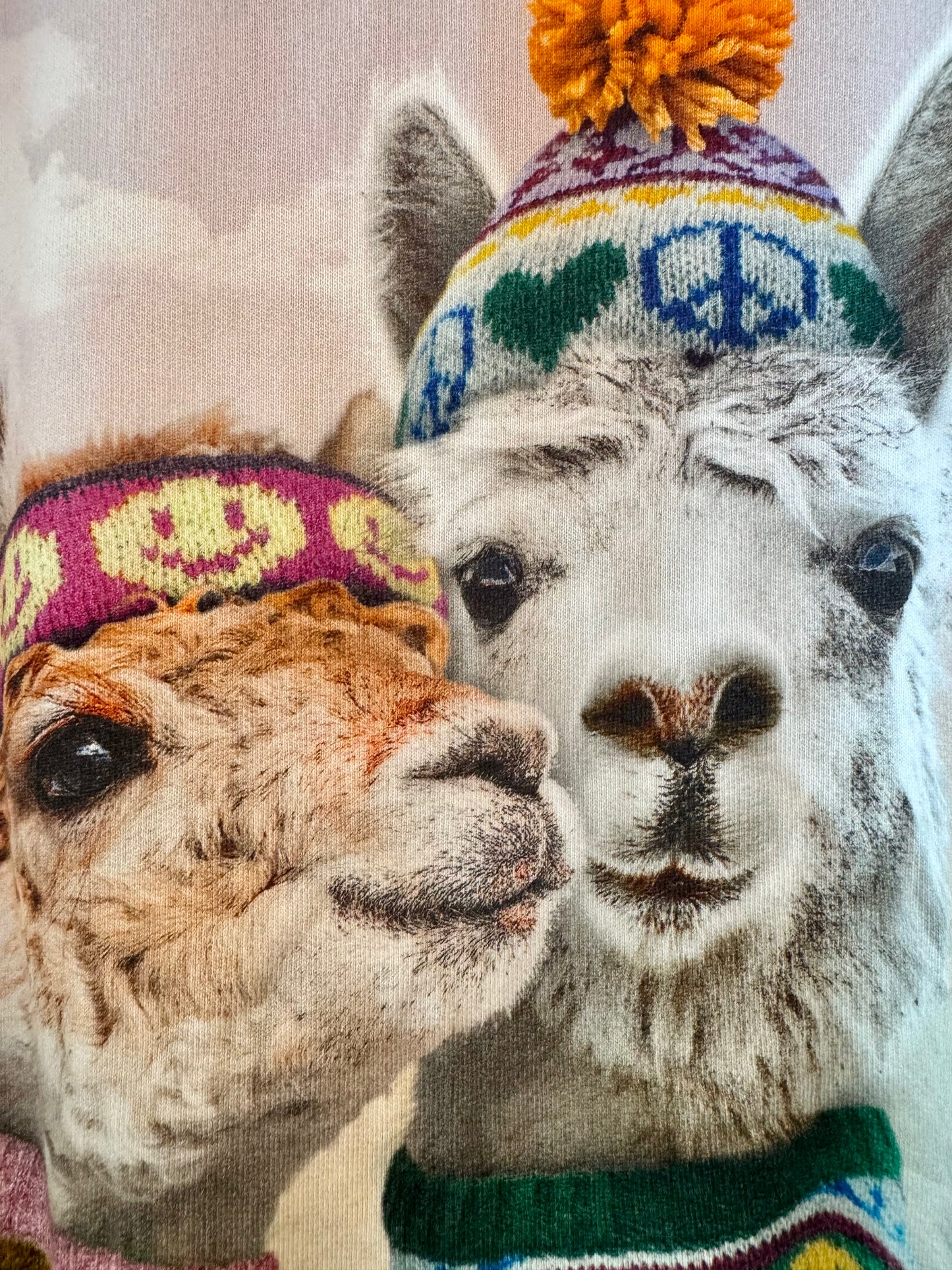 Molo Llama Sweater