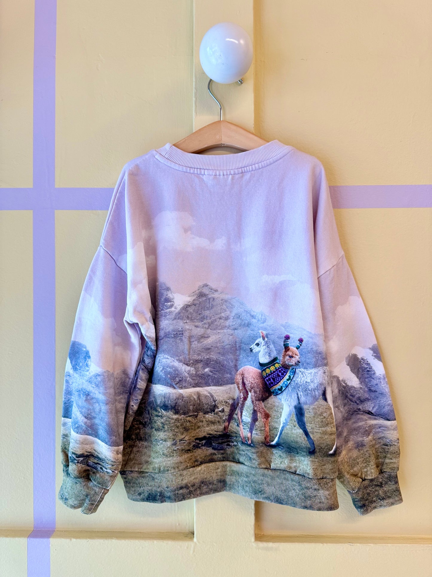 Molo Llama Sweater