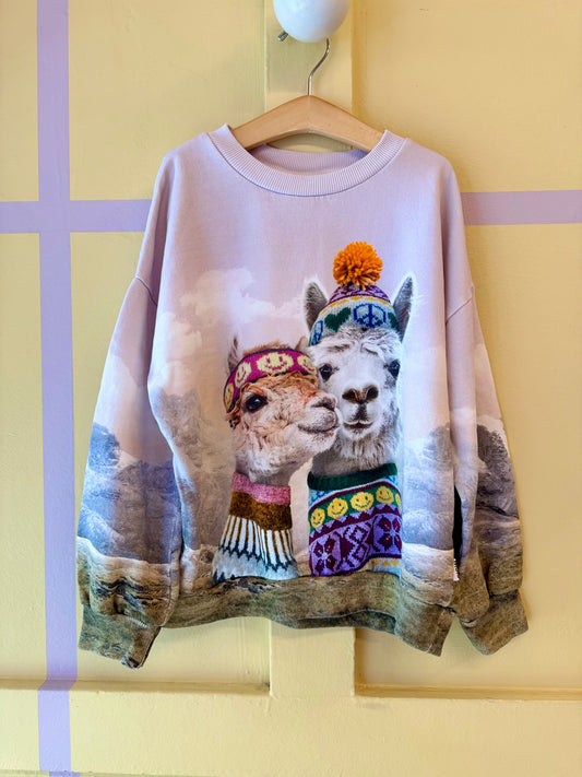 Molo Llama Sweater