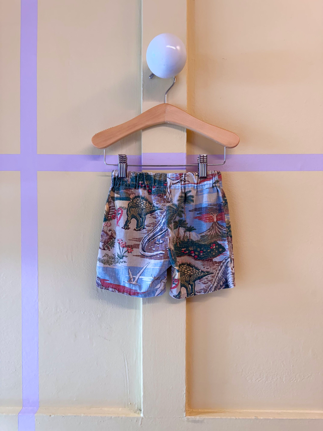 Reyn Spooner Dino Short Set