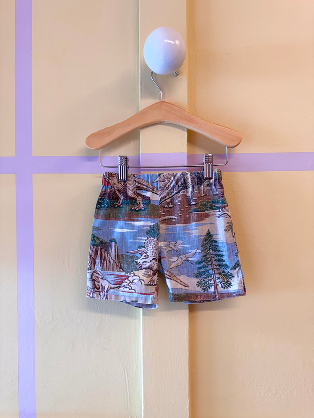 Reyn Spooner Dino Short Set